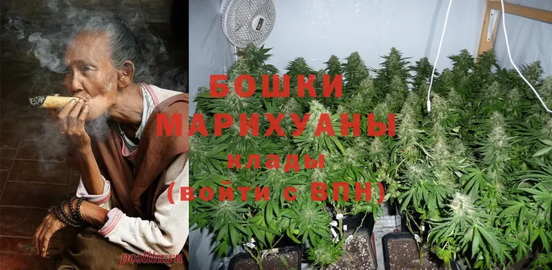 купить наркоту  Менделеевск  Марихуана White Widow 